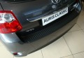 Auris 3.jpg