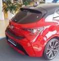 corolla HB 1.jpg