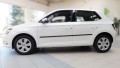 fabia 3.jpg