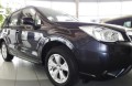 FORESTER 3 PO 2013.jpg