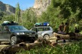 safari3.jpg