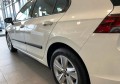 golf 8 3.jpg