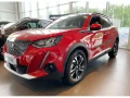 peugeot-2008-ii-listwy-boczne2.JPG