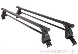 Baga